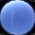 1591558164.jpg