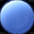 1591561315.jpg