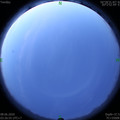 1591561630.jpg