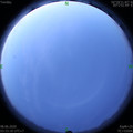 1591562020.jpg