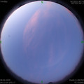 1591564542.jpg