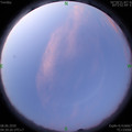 1591564842.jpg