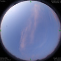 1591565142.jpg