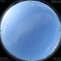 1591569599.jpg