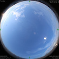 1591571175.jpg