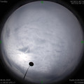 1591588824.jpg