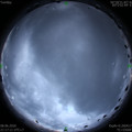 1591625847.jpg