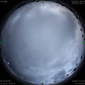 1591626027.jpg