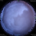1591631715.jpg