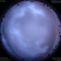 1591631835.jpg