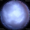 1591631895.jpg
