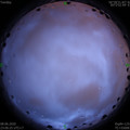 1591632405.jpg