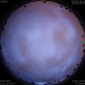 1591632465.jpg