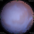 1591632600.jpg