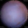 1591632660.jpg