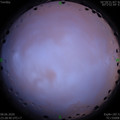 1591633741.jpg