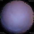 1591633861.jpg