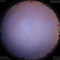 1591634056.jpg