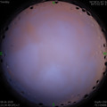 1591634116.jpg