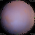 1591634311.jpg
