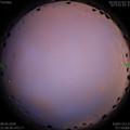 1591634371.jpg