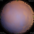 1591634911.jpg