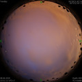 1591635091.jpg