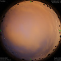 1591635347.jpg