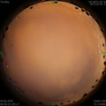 1591635647.jpg