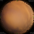 1591636007.jpg
