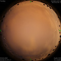 1591636127.jpg
