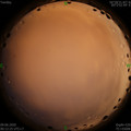 1591636367.jpg