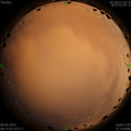 1591636487.jpg