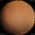 1591636667.jpg