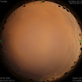 1591636727.jpg