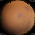 1591637027.jpg