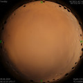 1591637568.jpg