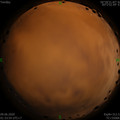 1591641260.jpg