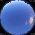 1591643391.jpg