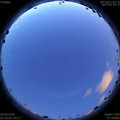 1591643451.jpg