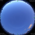 1591643511.jpg