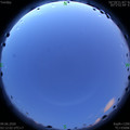 1591643571.jpg
