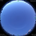 1591643631.jpg