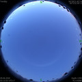 1591643751.jpg