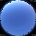 1591643811.jpg