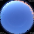 1591643991.jpg