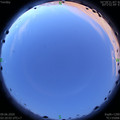 1591644051.jpg