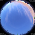 1591644171.jpg