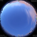 1591644666.jpg