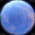 1591645101.jpg